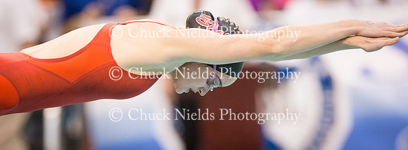 State Swimming_248