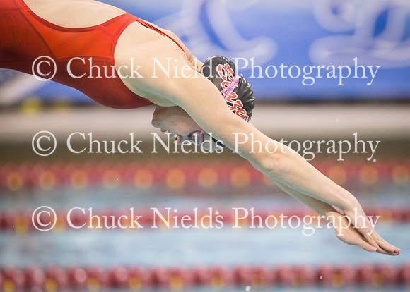 State Swimming_249