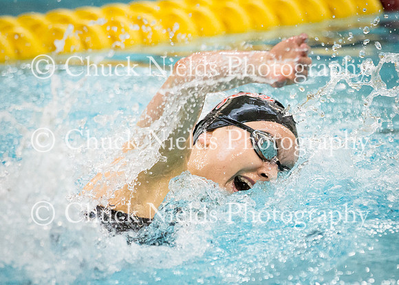 State Swimming_324