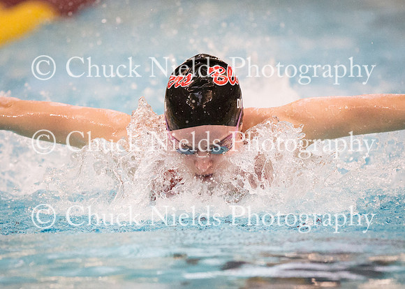 State Swimming_142