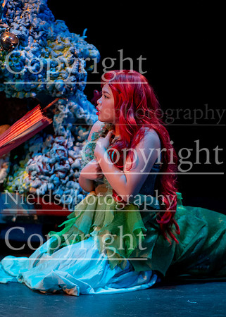 Little_Mermaid_394
