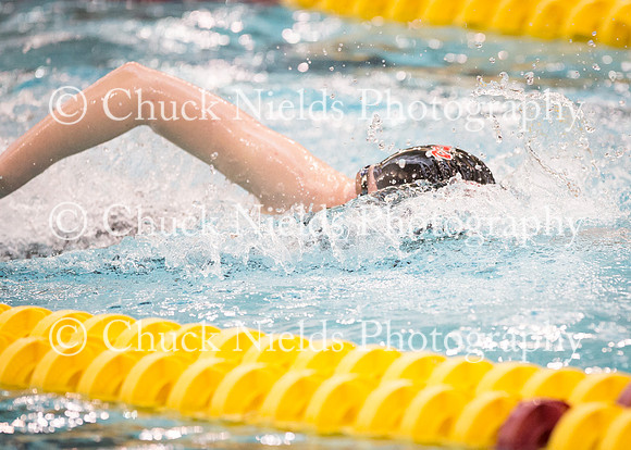 State Swimming_122