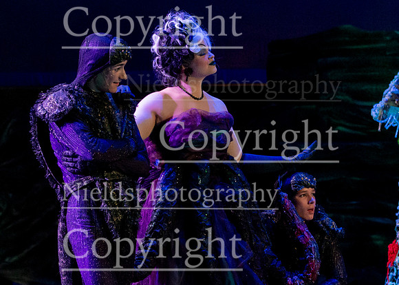 Little_Mermaid_413
