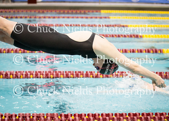 State Swimming_270