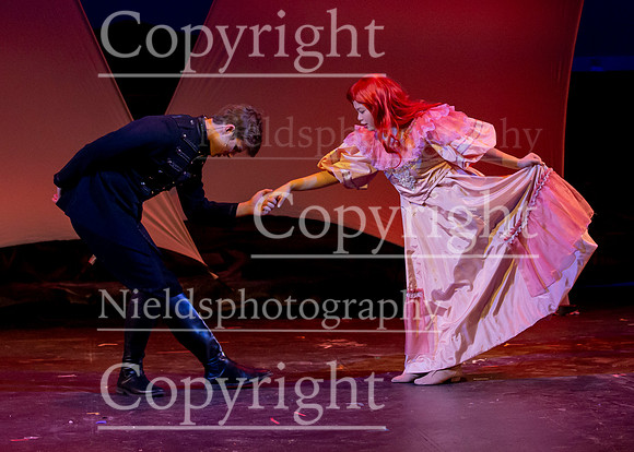 Little_Mermaid_511