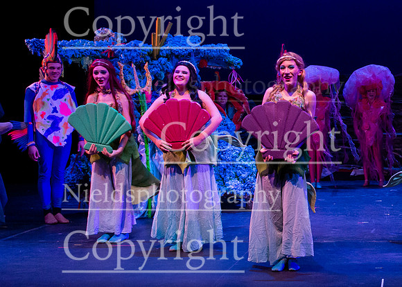 Little_Mermaid_019