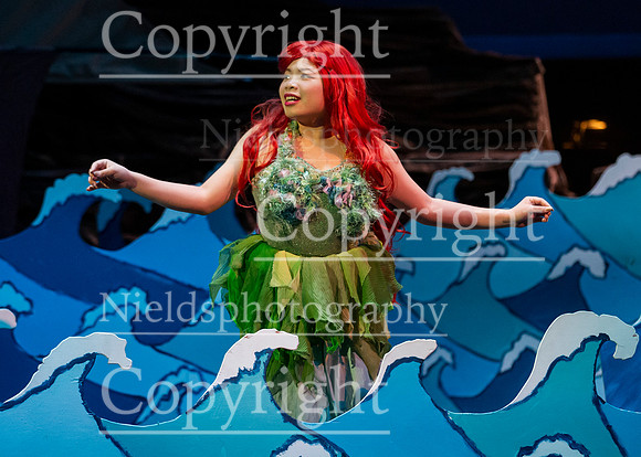 Little_Mermaid_214