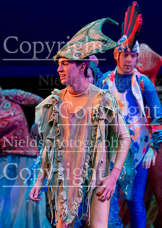 Little_Mermaid_353