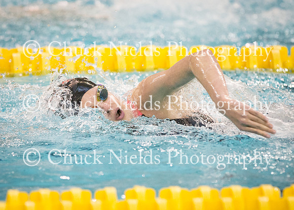 State Swimming_232