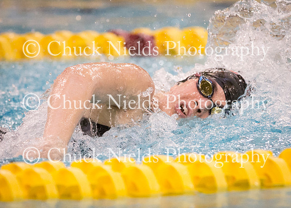 State Swimming_056