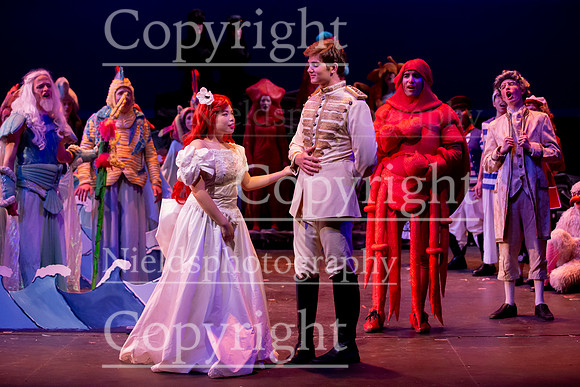 Little_Mermaid_597