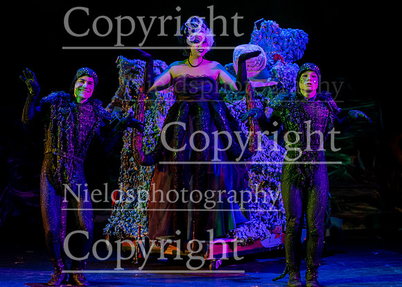 Little_Mermaid_523