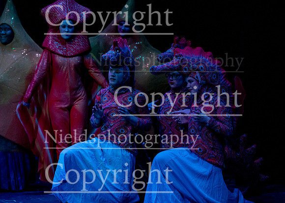 Little_Mermaid_241
