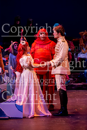 Little_Mermaid_594