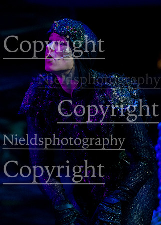 Little_Mermaid_401