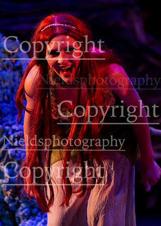 Little_Mermaid_333