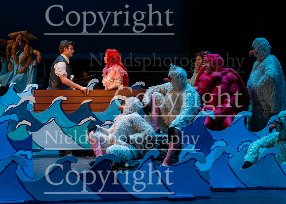 Little_Mermaid_162