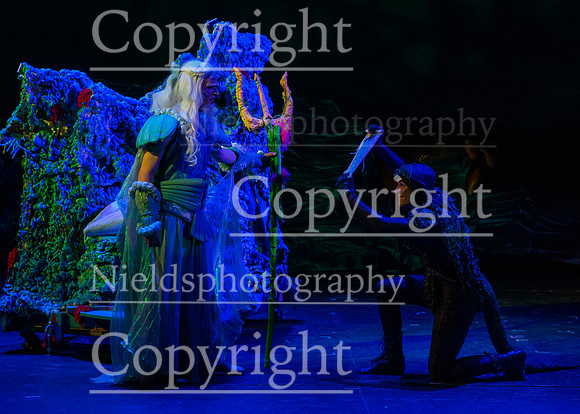 Little_Mermaid_194