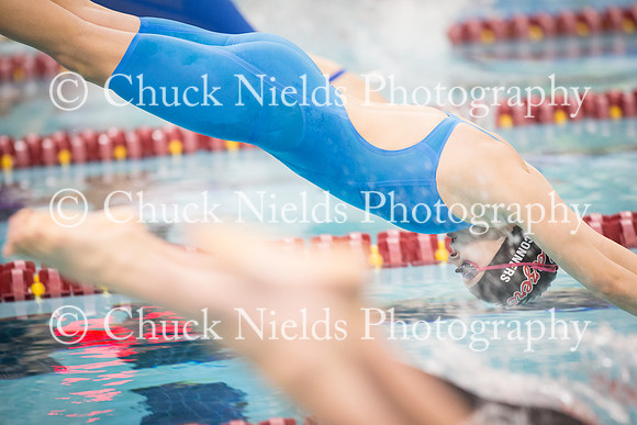 State Swimming_239