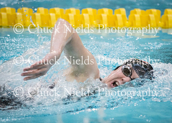 State Swimming_318