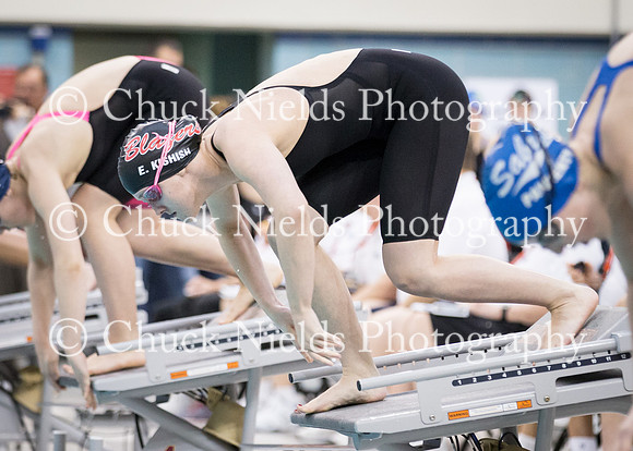State Swimming_350