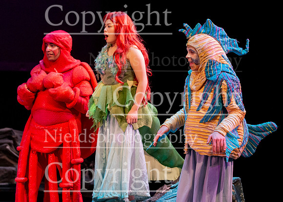 Little_Mermaid_374