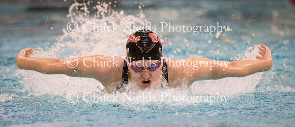 State Swimming_174