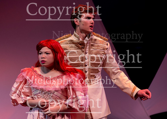 Little_Mermaid_565