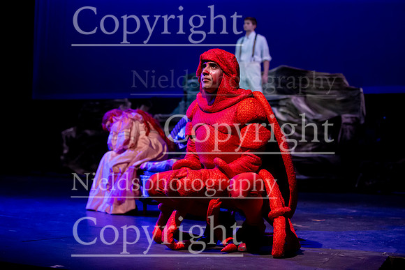 Little_Mermaid_545