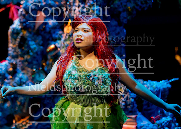 Little_Mermaid_302