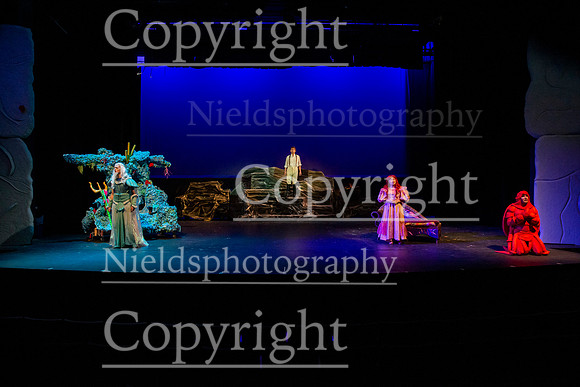 Little_Mermaid_178