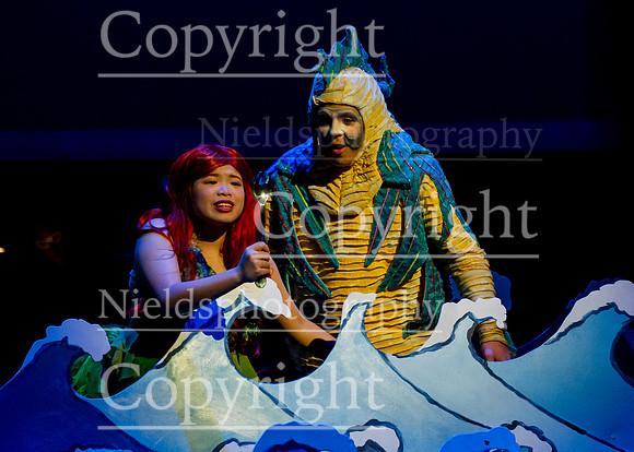 Little_Mermaid_232