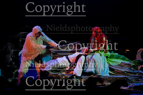 Little_Mermaid_317