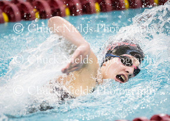 State Swimming_207