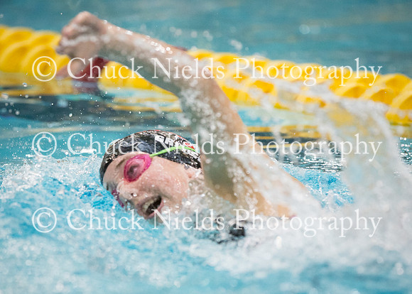 State Swimming_211