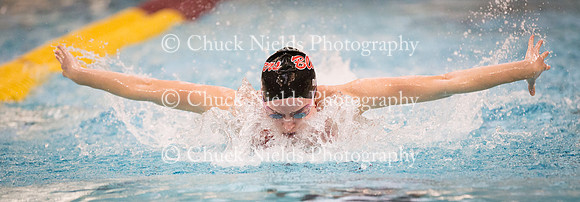 State Swimming_143