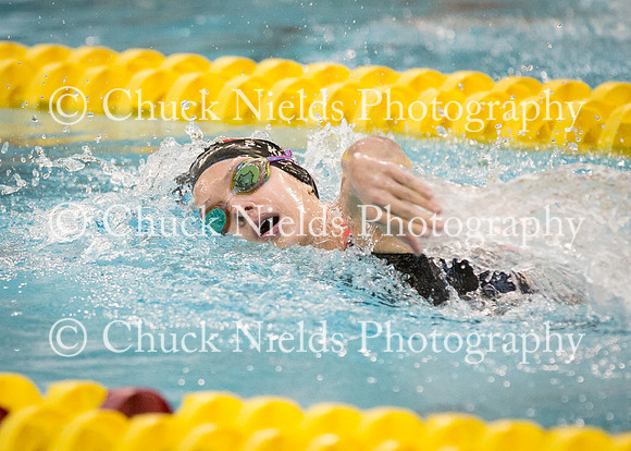 State Swimming_227
