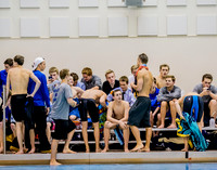 Sections