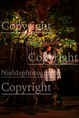 Tuck_Everlasting_101