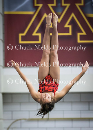 State finals_048