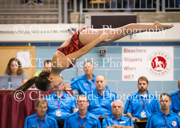 State finals_113