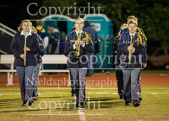 Band_201