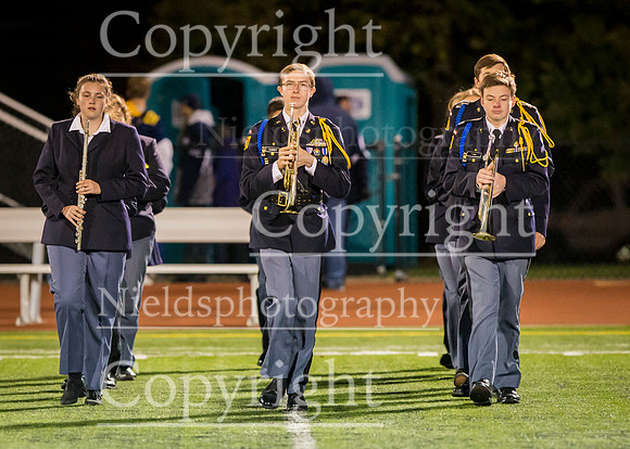 Band_202