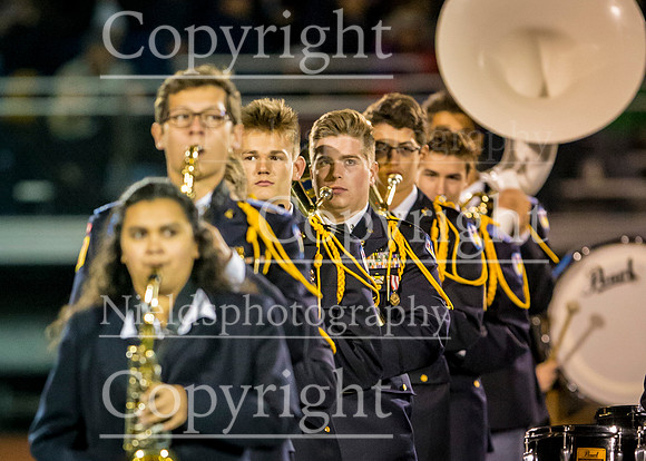 Band_213