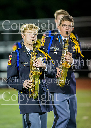 Band_216