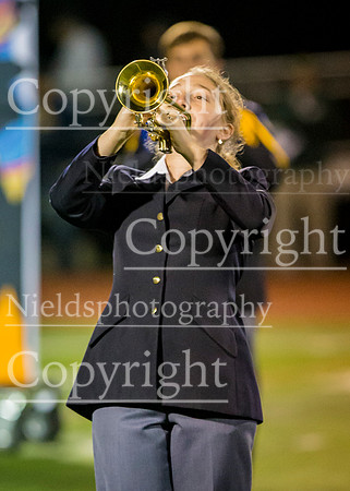 Band_219