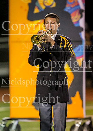 Band_220