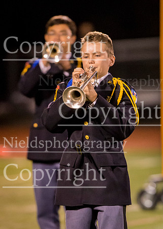 Band_221