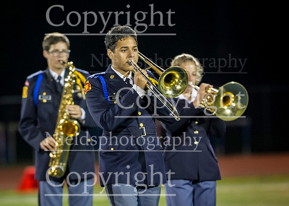 Band_231