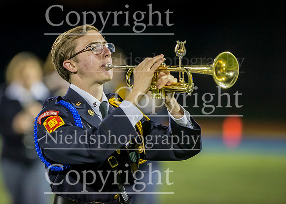 Band_233